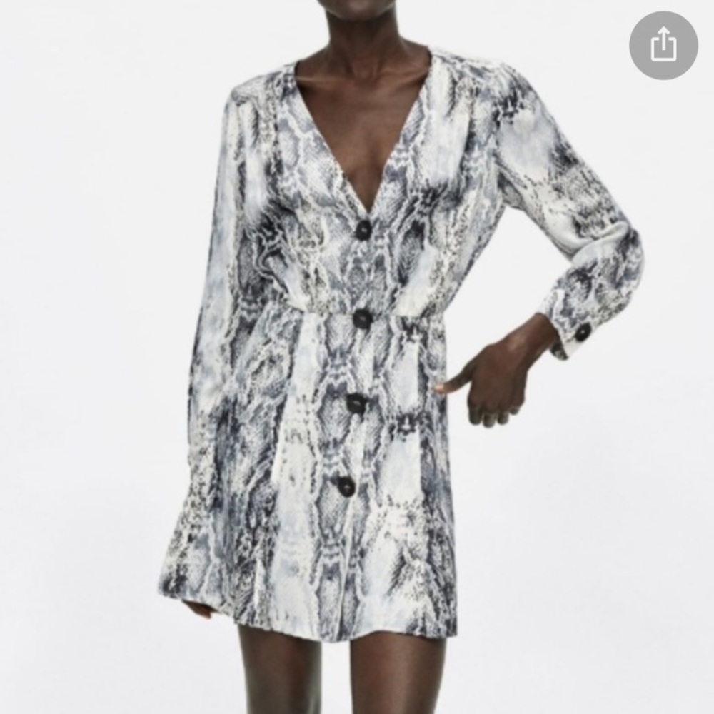 Zara Snake Print Dress